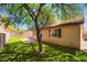 Backyard with a tree offering shade over the lawn and access to the house at 10259 Wolves Den Ln, Las Vegas, NV 89178