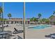 Community pool area with lounge chairs and palm trees in a sunny outdoor setting at 1121 Via Castelli, Henderson, NV 89052