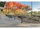 Covered picnic area with grill available in the park, perfect for community events and Gathering barbecues at 3618 Auckland Castle St, Las Vegas, NV 89135