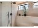 Modern shower with rain shower head and handheld sprayer, with a plant on the shelf at 5741 S Pearl St, Las Vegas, NV 89120