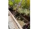 Backyard showing a stream with vegetation at 6554 Macdoogle St, Las Vegas, NV 89166