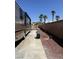 The backyard has tall palm trees and a brick wall with a motorhome parked on the side at 6596 Secluded Ave, Las Vegas, NV 89110