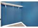 Spacious closet featuring sleek blue walls, white trim, luxury vinyl plank flooring, and a single shelf at 8408 White Eagle Ave # 101, Las Vegas, NV 89145