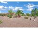 Well-maintained desert landscaping in the backyard, featuring palm trees, cacti, and stone ground cover at 10001 Cresent Creek Dr, Las Vegas, NV 89134