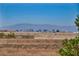 Backyard view of the city skyline and mountains at 12720 Davis Wright Ct, Henderson, NV 89044