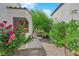 Landscaped walkway featuring rose bushes and decorative plants leading to the patio area at 240 Windsong Dr, Henderson, NV 89074