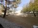 Backyard with sparse grass and mature trees at 2606 S Durango Dr # 171, Las Vegas, NV 89117
