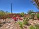 Landscaped backyard featuring a cozy seating area with red chairs, stone pathways, and lush greenery, great for relaxation at 2936 Aragon Terrace Way, Henderson, NV 89044