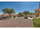 Beautifully landscaped backyard featuring desert landscaping, lush green bushes, and mature shade trees at 3012 Haddon Dr, Las Vegas, NV 89134