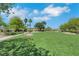 Lush community park featuring green grass, shady trees, picnic tables, and play area at 5553 High Wager Way # 101, Las Vegas, NV 89122