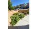 Well-maintained front yard landscaping with a variety of plants and concrete walkway at 10349 Mystic Pine Rd, Las Vegas, NV 89135