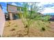 A spacious backyard featuring low-maintenance landscaping and a lovely desert tree at 12101 Arrebol Ave, Las Vegas, NV 89138