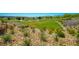 Lush landscaping featuring native plants and grasses, creating a beautiful and sustainable green space at 12101 Arrebol Ave, Las Vegas, NV 89138