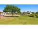 Large backyard with mature trees, providing shade and scenic views at 1470 St Joseph St, Overton, NV 89040