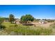 Charming home on a large lot with an outbuilding and mature trees at 1470 St Joseph St, Overton, NV 89040