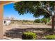 Scenic view of an expansive yard with mature trees, horses, and beautiful landscape at 1470 St Joseph St, Overton, NV 89040