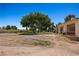 Large yard with mature trees and plenty of space to play or entertain guests at 1470 St Joseph St, Overton, NV 89040