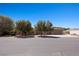 Traditional home with trees and landscaping in the front at 1981 Trophy Elk Ave, Logandale, NV 89021