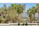 Towering palm trees surrounding the property at 2857 Paradise Rd # 305, Las Vegas, NV 89109