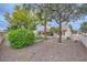 Well-manicured backyard with mature trees and gravel landscaping at 3104 Archwood Way, Las Vegas, NV 89134