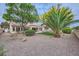 Rear view showcasing an open backyard with mature trees at 3104 Archwood Way, Las Vegas, NV 89134