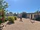 This cozy home offers a spacious gravel backyard, ideal for entertaining, complete with mature landscaping at 4420 Avondale Ave, Las Vegas, NV 89121
