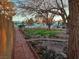 Backyard featuring xeriscaping, mature trees, and low-maintenance landscaping at 4834 E Van Buren Ave, Las Vegas, NV 89110