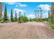 Spacious backyard with desert landscaping, mature trees, and a concrete pad perfect for recreation at 3065 S Torrey Pines Dr, Las Vegas, NV 89146