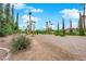 Expansive front yard landscaped with desert vegetation and tall trees under a bright blue sky at 3065 S Torrey Pines Dr, Las Vegas, NV 89146