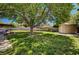 Expansive backyard with lush green grass, mature tree, shed, patio, and block wall fencing at 3753 S Rosecrest Cir, Las Vegas, NV 89121
