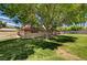 Large backyard with mature trees, a shed, and ample space for recreation and gardening at 3753 S Rosecrest Cir, Las Vegas, NV 89121