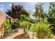 Lush backyard featuring beautiful landscaping, trees and a comfortable seating area at 4017 Kristina Lynn Ave, North Las Vegas, NV 89081