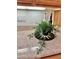 Kitchen countertop featuring a green houseplant, decorative bottles, and soft lighting at 10680 Sapphire Vista Ave, Las Vegas, NV 89144
