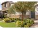 Beautifully landscaped front yard with lush greenery and a well-maintained lawn at 16 Cresta Villa Ct, Henderson, NV 89011