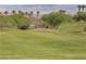 This manicured golf course showcases lush green fairways accented by mature trees and desert foliage at 16 Cresta Villa Ct, Henderson, NV 89011