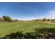 Expansive green golf course with desert landscape and mountain views; enjoy outdoor lifestyle at 16 Cresta Villa Ct, Henderson, NV 89011