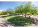A grassy area with mature shade trees and manicured landscaping offers residents a tranquil outdoor space at 16 Cresta Villa Ct, Henderson, NV 89011