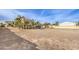 Spacious backyard with mature palm trees and generous space for outdoor activities and potential landscaping at 2780 El Camino Rd, Las Vegas, NV 89146
