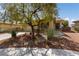 Inviting front yard featuring desert landscaping, mature shade tree, and a well-maintained lawn, complemented by a cozy single-story home at 4217 Box Canyon Falls Ave, North Las Vegas, NV 89085