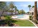 Community pool and jacuzzi surrounded by a well-manicured artificial lawn area and palm trees at 502 Cosmic Star Pl, Henderson, NV 89052