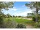 Scenic golf course view with lush green grass and mature trees creating a serene backdrop at 7908 House Sparrow St, North Las Vegas, NV 89084