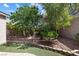 Landscaped backyard with mature trees, decorative stone border, and green space at 2164 Sawtooth Mountain Dr, Henderson, NV 89044