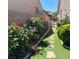 Exterior landscape view with lush rose bushes and manicured plants along a walkway, adding charm at 2312 Indigo Island St, Henderson, NV 89044