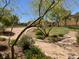 Well-maintained community park featuring lush greenery, walking paths, and desert-friendly landscaping at 1139 Via Partito, Henderson, NV 89052