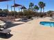 Community pool and lounge area with comfortable seating, palm trees, and shade canopies at 1139 Via Partito, Henderson, NV 89052
