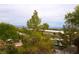 View from community featuring lush trees and mountain views at 1608 Sussex St # 204, Las Vegas, NV 89144