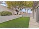 Serene backyard with artificial grass, a mature tree, and a stylish fence, perfect for relaxing and entertaining at 3109 Siena Cir, Las Vegas, NV 89128