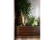 Indoor planter with tropical plants in a custom wood planter providing a fresh, natural design element to the home interior at 353 E Bonneville Ave # 1302, Las Vegas, NV 89101