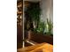 Indoor planter with tropical plants and custom wood planter next to a bar area and wood floors provide a fresh, natural design at 353 E Bonneville Ave # 1302, Las Vegas, NV 89101