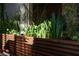 A modern planter with decorative plants and striking shadows at 353 E Bonneville Ave # 1302, Las Vegas, NV 89101